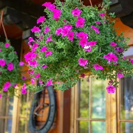 Apartament Józefina *