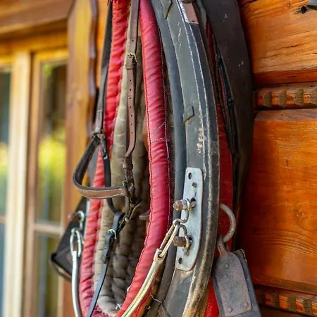 Jozefina 슈차이르크