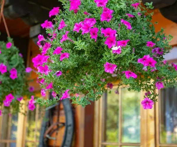 Appartement Jozefina *